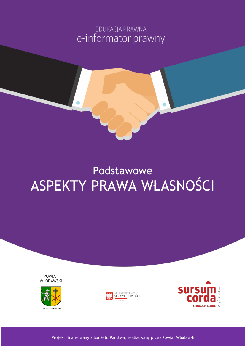 e_informatory_aspekty_prawa_wlasnosci_p_wlodawski