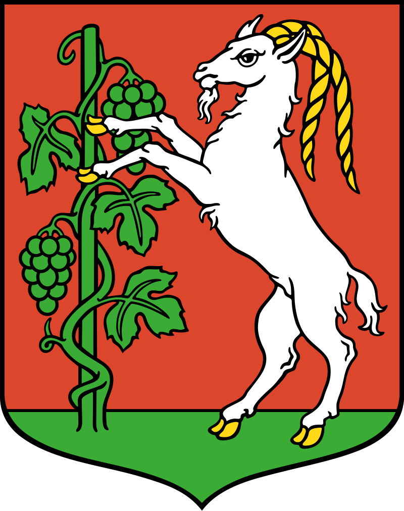 Herb Miasta Lublin