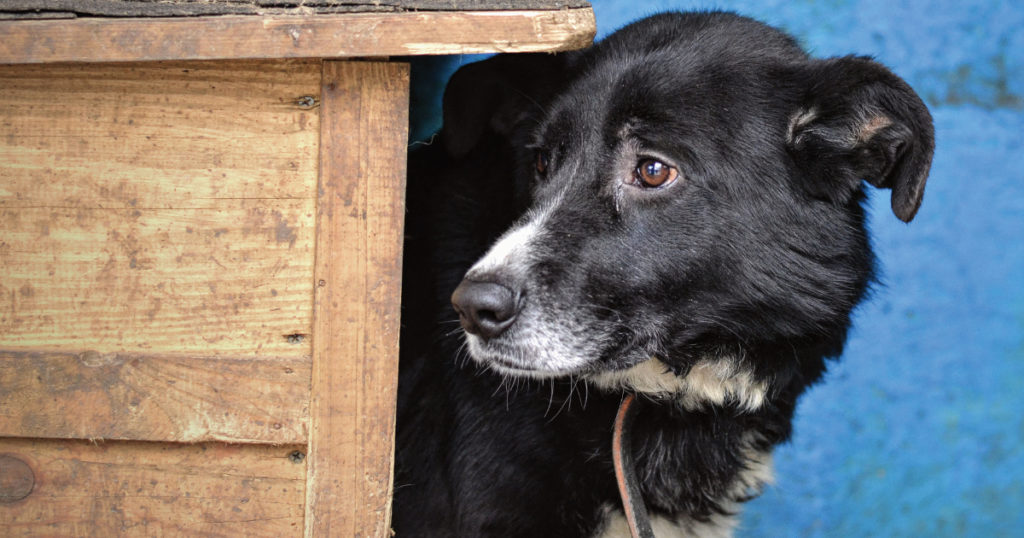 Zmiana trybu pracy punktów