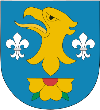 wodzislawski