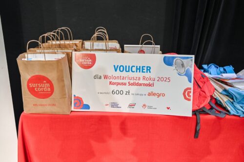 Światowy Dzień Wolontariusza (16)