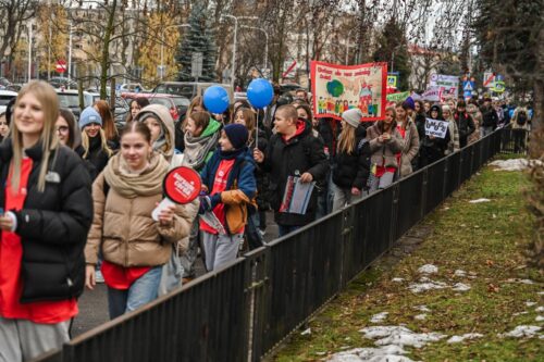 Światowy Dzień Wolontariusza (185)