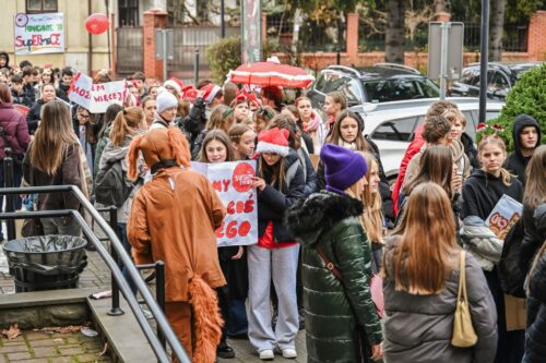 Światowy Dzień Wolontariusza (208)